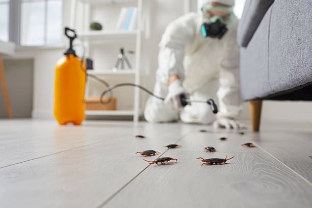 Commercial Kitchen Cockroach Control in Waurika